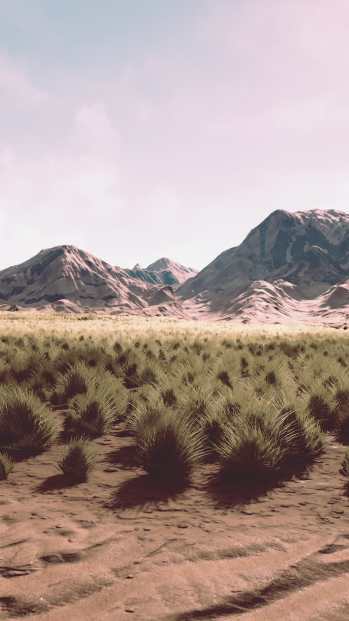 산과 풀이 있는 사막 풍경