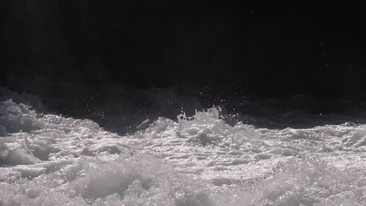 야생 강의 물 어리