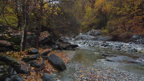 Flujo-De-Agua-Del-Río-De-Montaña-Con-árboles-Rojos-Y-Amarillos-Follaje-De-Otoño-Vista-Aérea