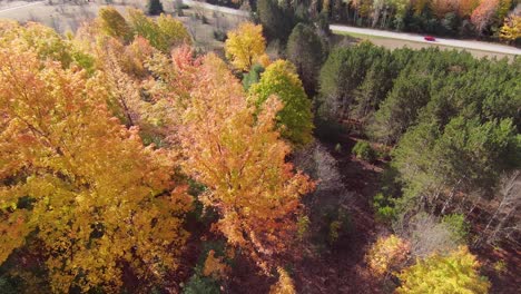 autumn colors at peak by drone