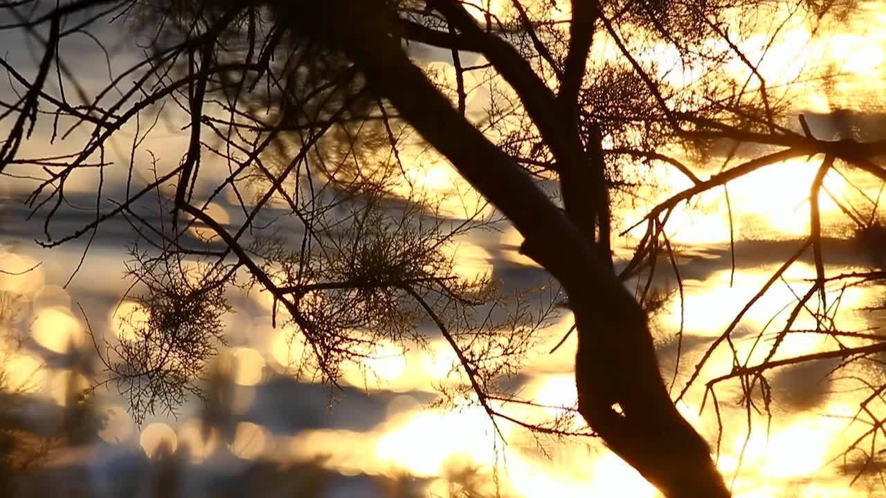 포르투갈 리스본 의 타구스 강 의 넓은 물 위 에 있는 아름다운 해가 뜨는 모습 에 초점을 맞추고 있습니다.