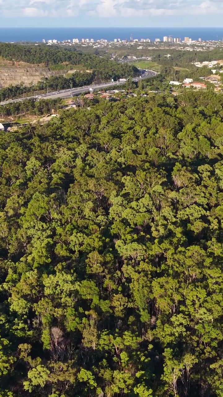 Il drone effettua una panoramica su una lussureggiante foresta di eucalipti verde verso il lontano oceano e lo skyline di una città costiera