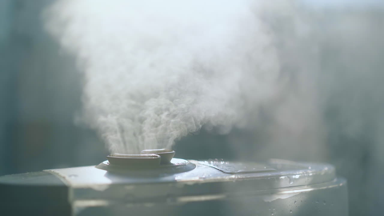 공기 이온화기는 방 안의 대기를 습화하기 위해 증기를 방출합니다.