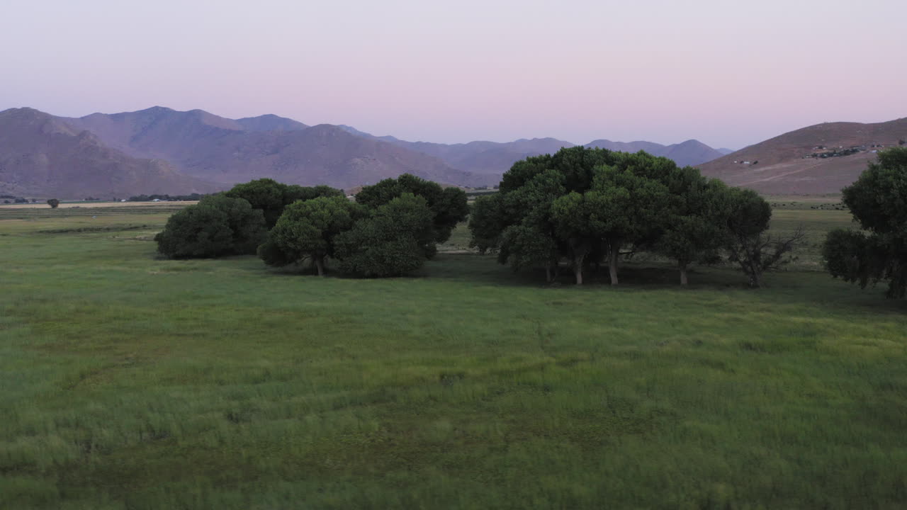 Ripresa aerea a bassa quota nella valle di Weldon con alberi secolari e un campo d'erba aperto, panoramica a sinistra