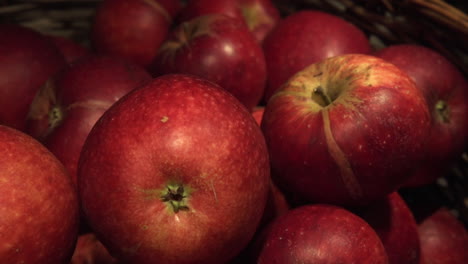 vibrant colorful red apples in a basket. starting close and moving out.