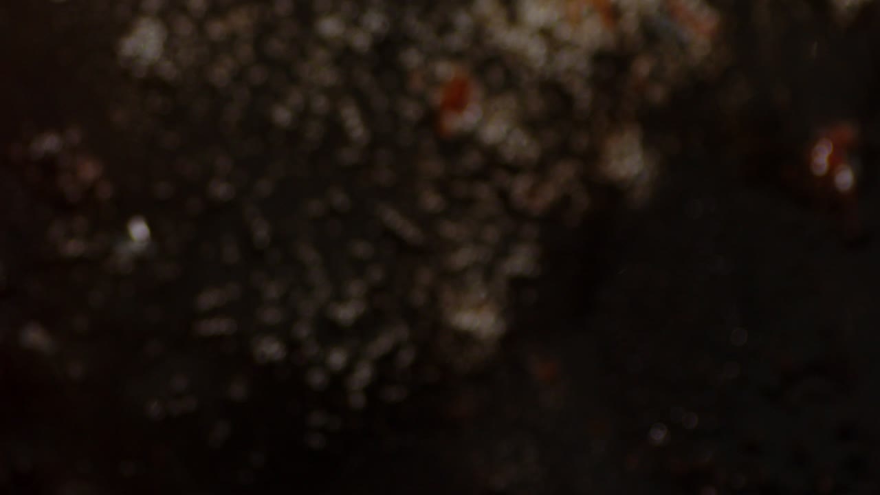 Carne de Hambúrguer Crua Sendo Frita em uma Frigideira, Virando