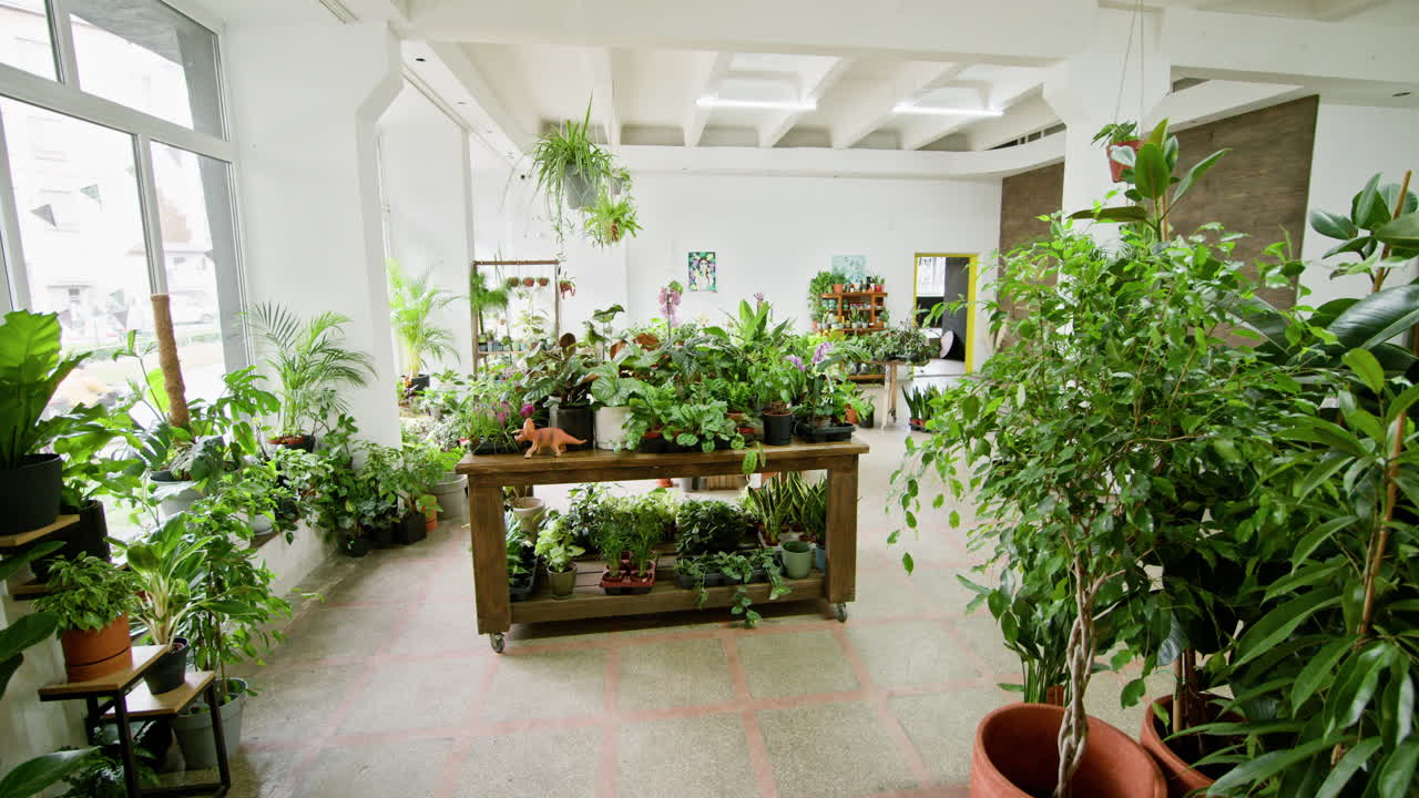 실내 식물 가게
