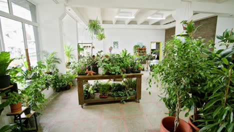 tienda de plantas de interior