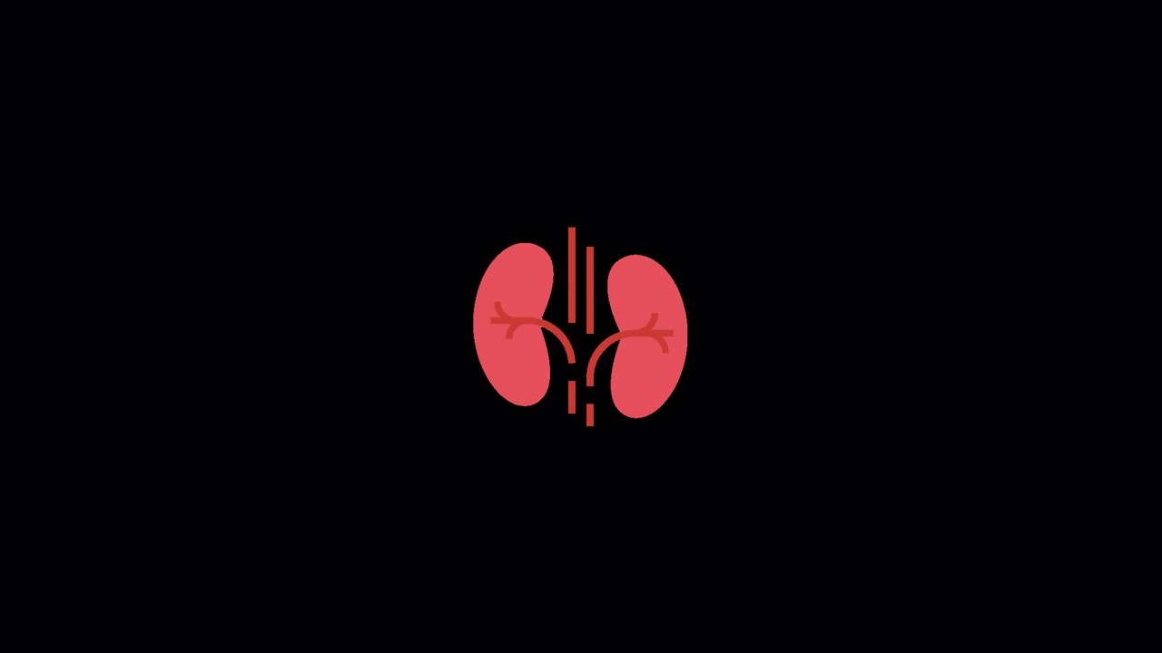 Kidneys Icon Animation