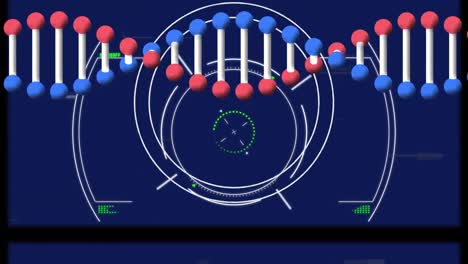 Animation-of-dna-strand-spinning-with-data-processing-and-network-of-connections