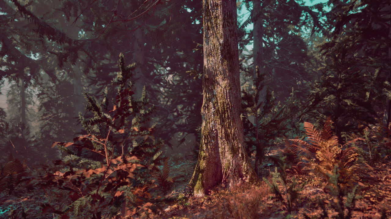 con vistas a los pinos altos en un día de verano