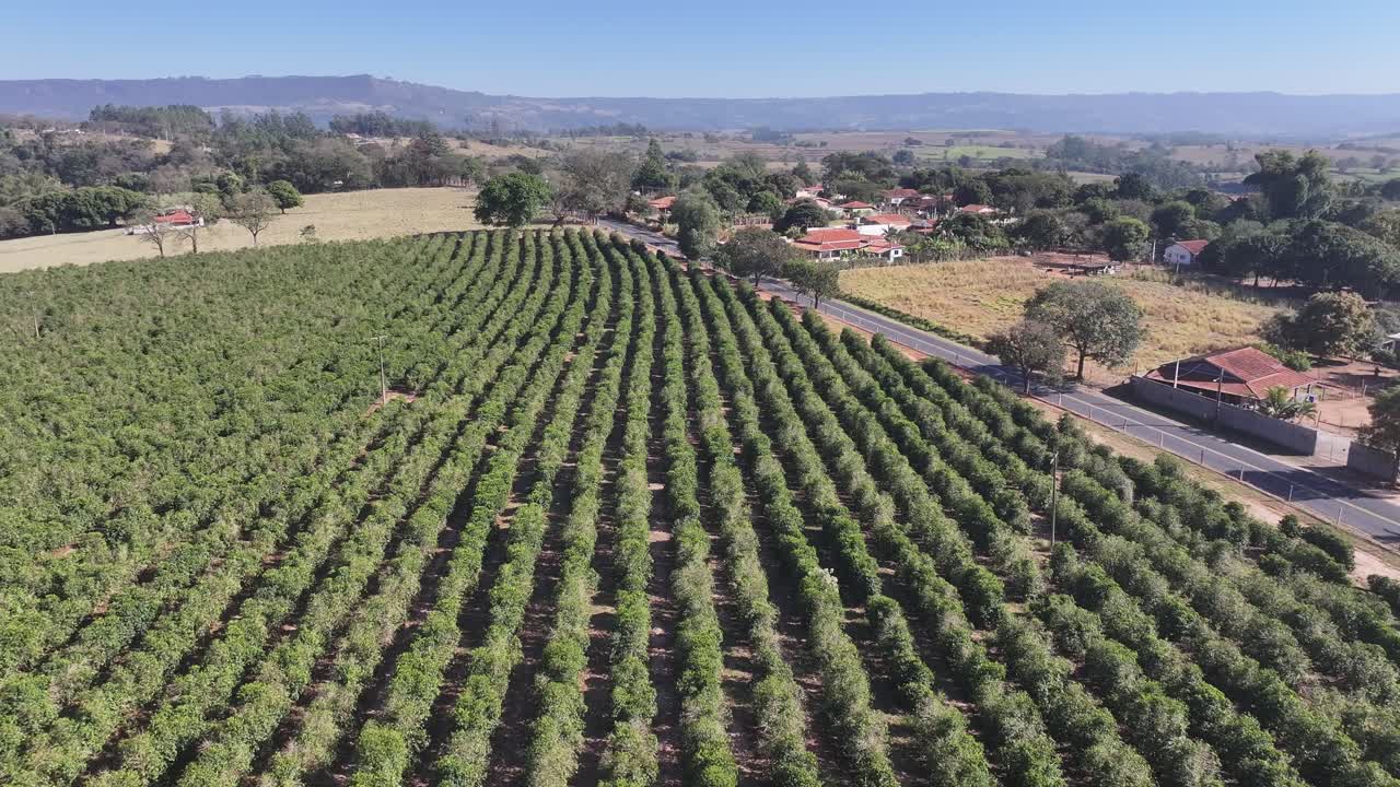 Sao Benedito Das Areias Skyline At Mococa In Sao Paulo Brazil. Countryside City. Rural Cityscape. Sao Benedito Das Areias Skyline At Mococa In Sao Paulo Brazil. Agriculture Field. Outdoor Scene