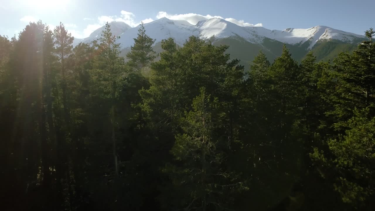 picos de montañas nevadas y bosque de coníferas