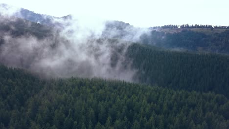 expansive aerial drone shot of the tree lined romanian mountains covered in moving valley fog