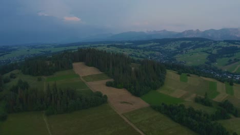 Campos-Y-Bosques-En-Las-Tierras-Altas-Polacas-Con-Vistas-Al-Pueblo-De-Dzianisz-En-La-Región-De-Podhale,-Sur-De-Polonia