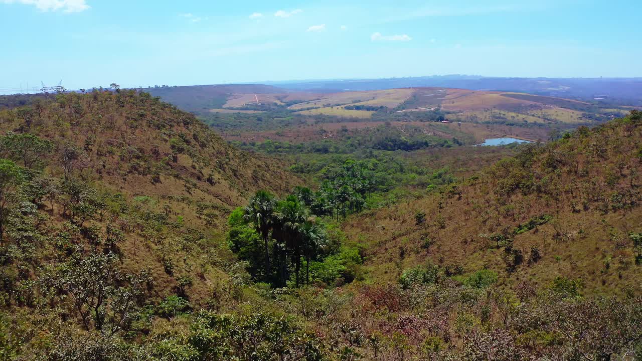Cerrado landscape revealing turquoise water springs pooling amid golden grasslands under bright azure sky, showcasing Brazilian wilderness