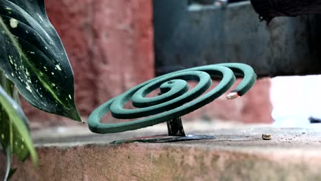 burning mosquito repellent coil with smoke in outdoor setting to ward off mosquitoes