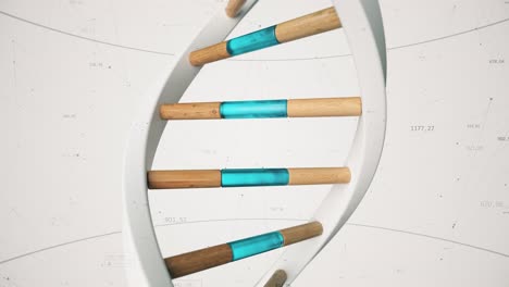 ilustración del modelo de adn 3d