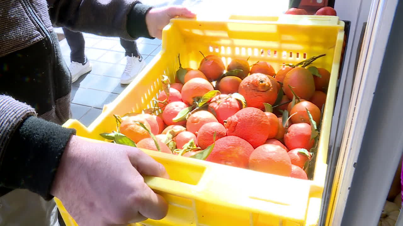 Person Carrying a Crate of Fruit