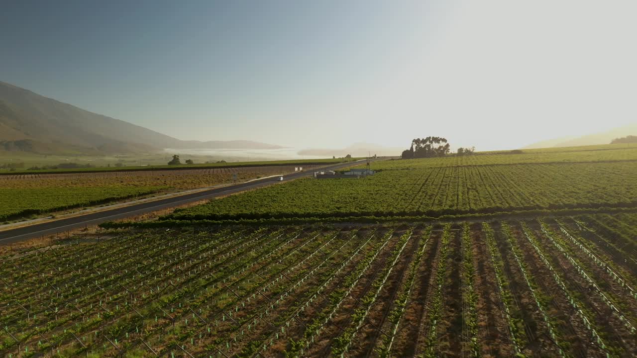Beautiful farmland in the late afternoon sunlight in the Western Cape ‘s Winelands in the Boland area