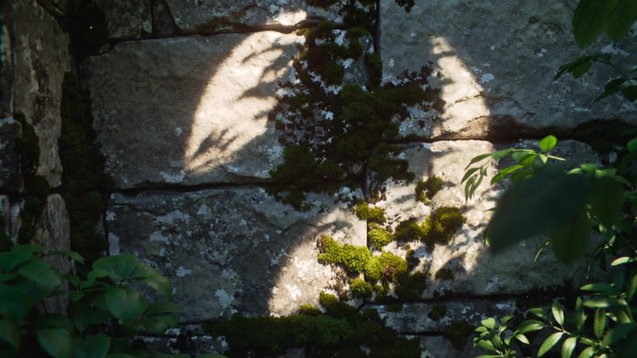 La luce del sole che filtra attraverso le foglie crea mezzelune in movimento su un muro di giardino muschioso, proiettando ombre.