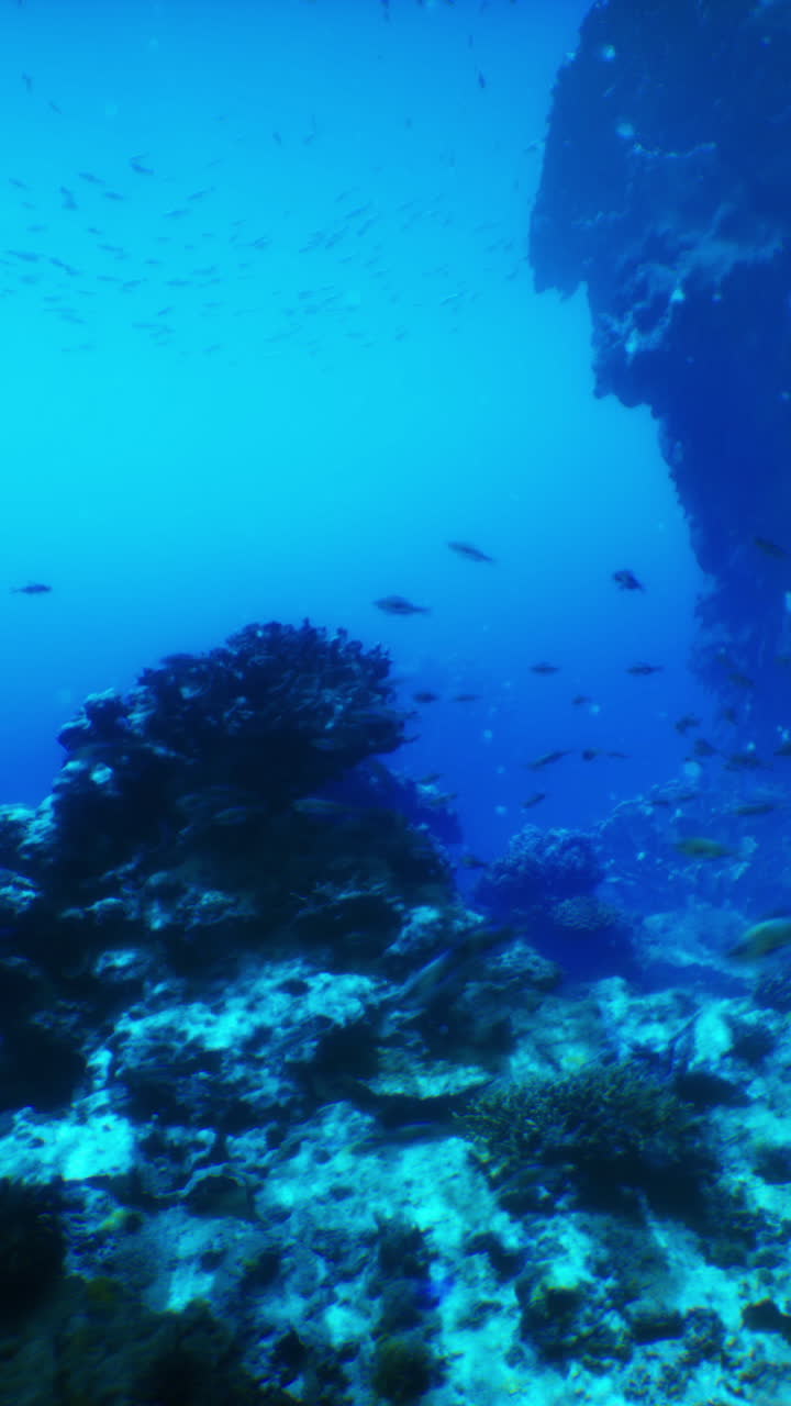 hermosa escena submarina con arrecifes de coral y peces