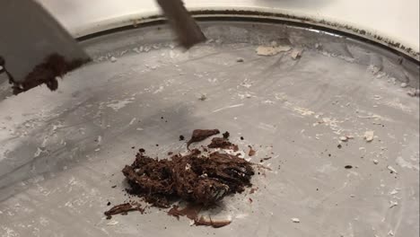 helado con sabor a oreo hecho en un plato frío