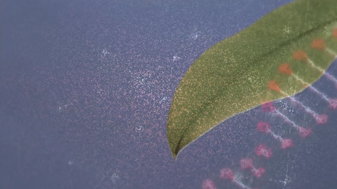 dna 구조와 연결 네트워크의 애니메이션은 파란색 배경에 대한 잎의 클로즈업입니다.