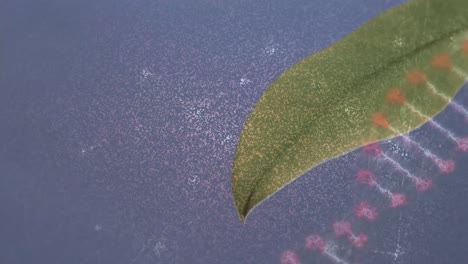 animación de la estructura del adn y la red de conexiones en un primer plano de la hoja contra un fondo azul