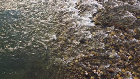 river water stream in the jungle