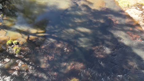 drone camera glides above ebor falls, capturing cascading water, rocky terrain, and tranquil river below in bright natural daylight with soft shadows