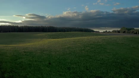 Grüne-Felder-Und-Wälder-Vor-Sonnenuntergang---Drohnenaufnahme-Aus-Der-Luft