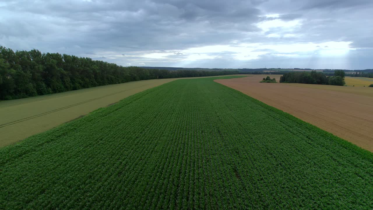 Drohnenaufnahme von labyrinthartigen landwirtschaftlichen Feldern