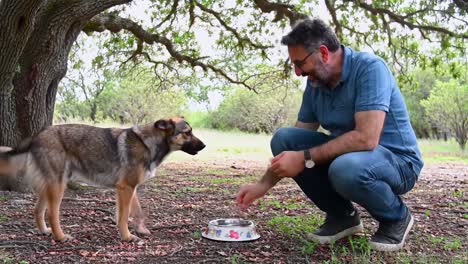 a heartwarming moment between a man and his dog: sharing treats amidst nature's beauty and joyful bonding