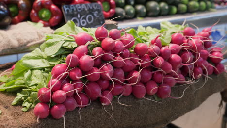 fresh radishes on the counter of a market stall