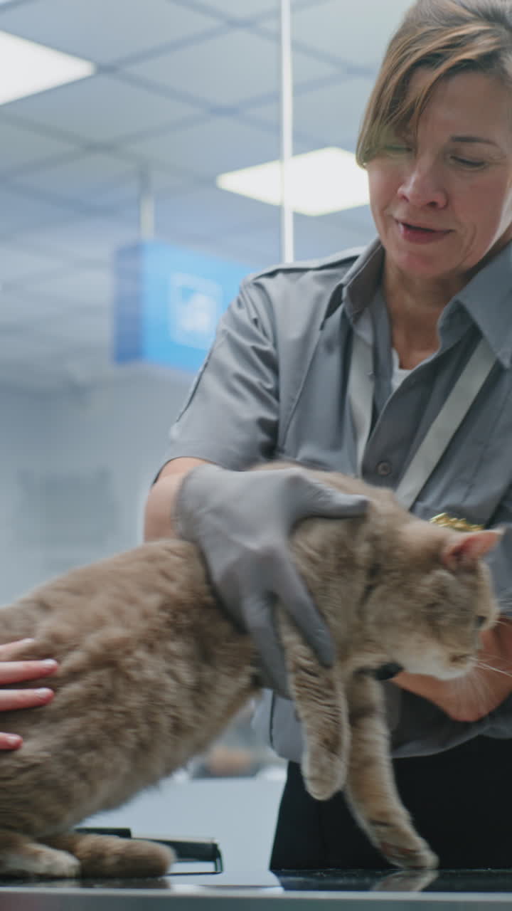 Animal Inspection at Airport | Vídeo de stock Premium