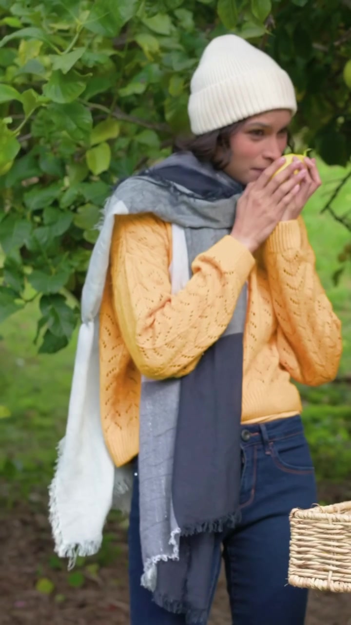 Video verticale: Raggiungendo un ramo del frutteto, donna con un cappello che raccoglie una mela e la mette nel cesto