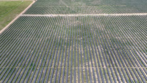 solar panel array on large solar energy farm in usa