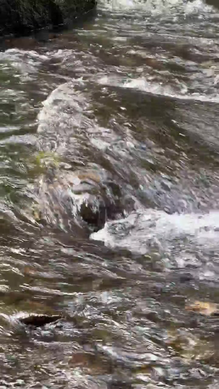 Acqua limpida che scorre sulle rocce in un ruscello di montagna