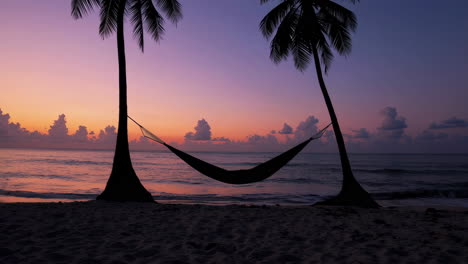 hammock between palm trees on a tropical beach at sunset