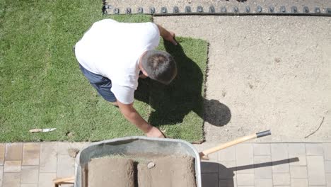 rollo de nuevo césped natural instalado por jardinero profesional. industria de jardinería.