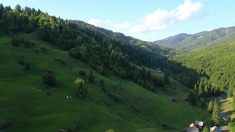 vista aérea de la montaña verde con árboles, bosque y casas