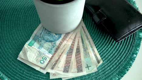 pan across crumpled polish zloty notes placed under a white plant pot next to a black leather wallet on a green table place mat