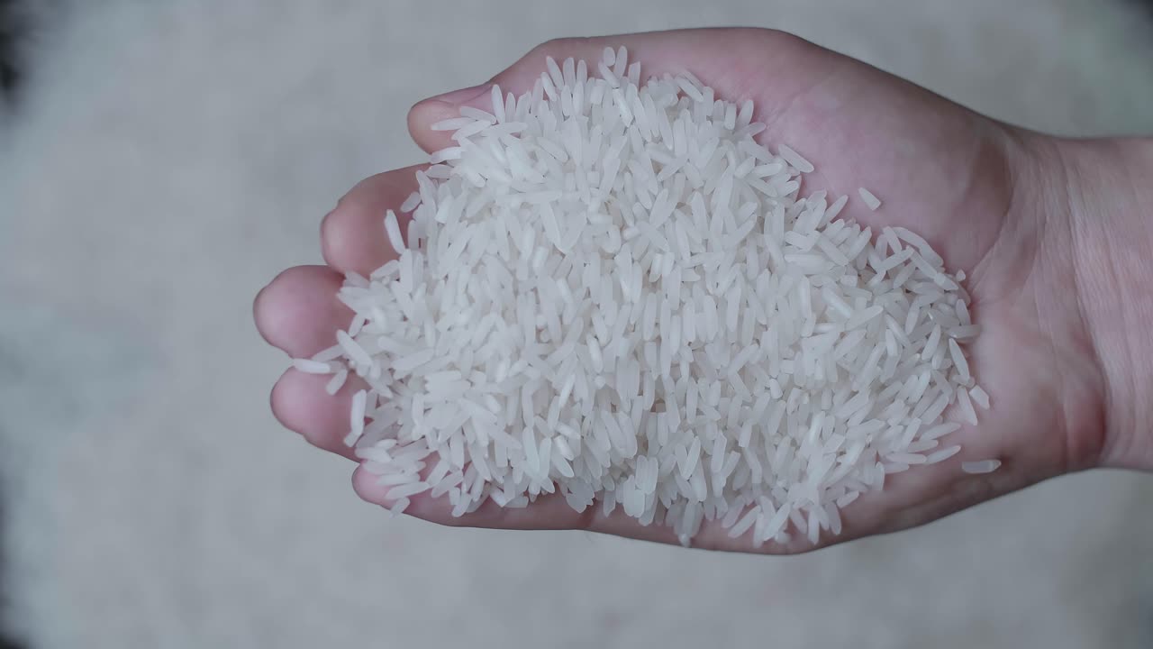 Hand Carrying Rice Grains Move Toward In Slow Motion  Over White Rice Grains Background
