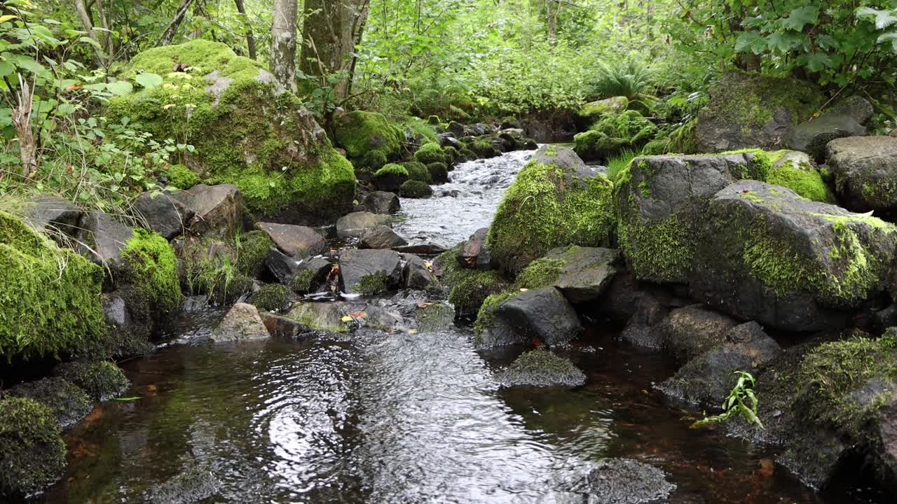 Running water in a forest in Norway 3
