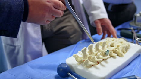 demonstration of the neurosurgical operation with the usage of modern metal tools. close up. instrument is applied to the spine model to cut off the pieces.