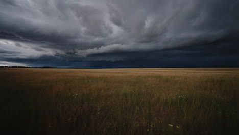field under a dramatic stormy sky