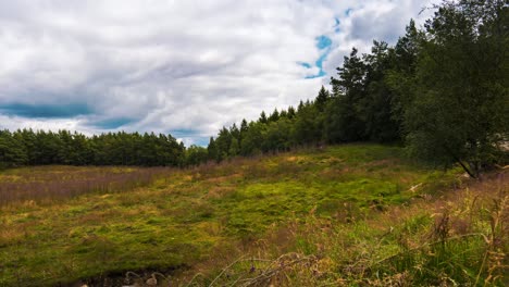 Timelapse-with-movement-of-farmer-working-a-field-during-a-sunny-day-in-southern-norway