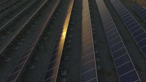 solar panels
solar energy panels