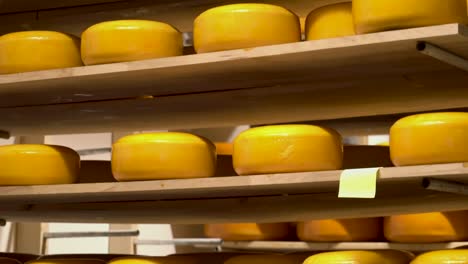 industrial production of cheeses, cheese storage